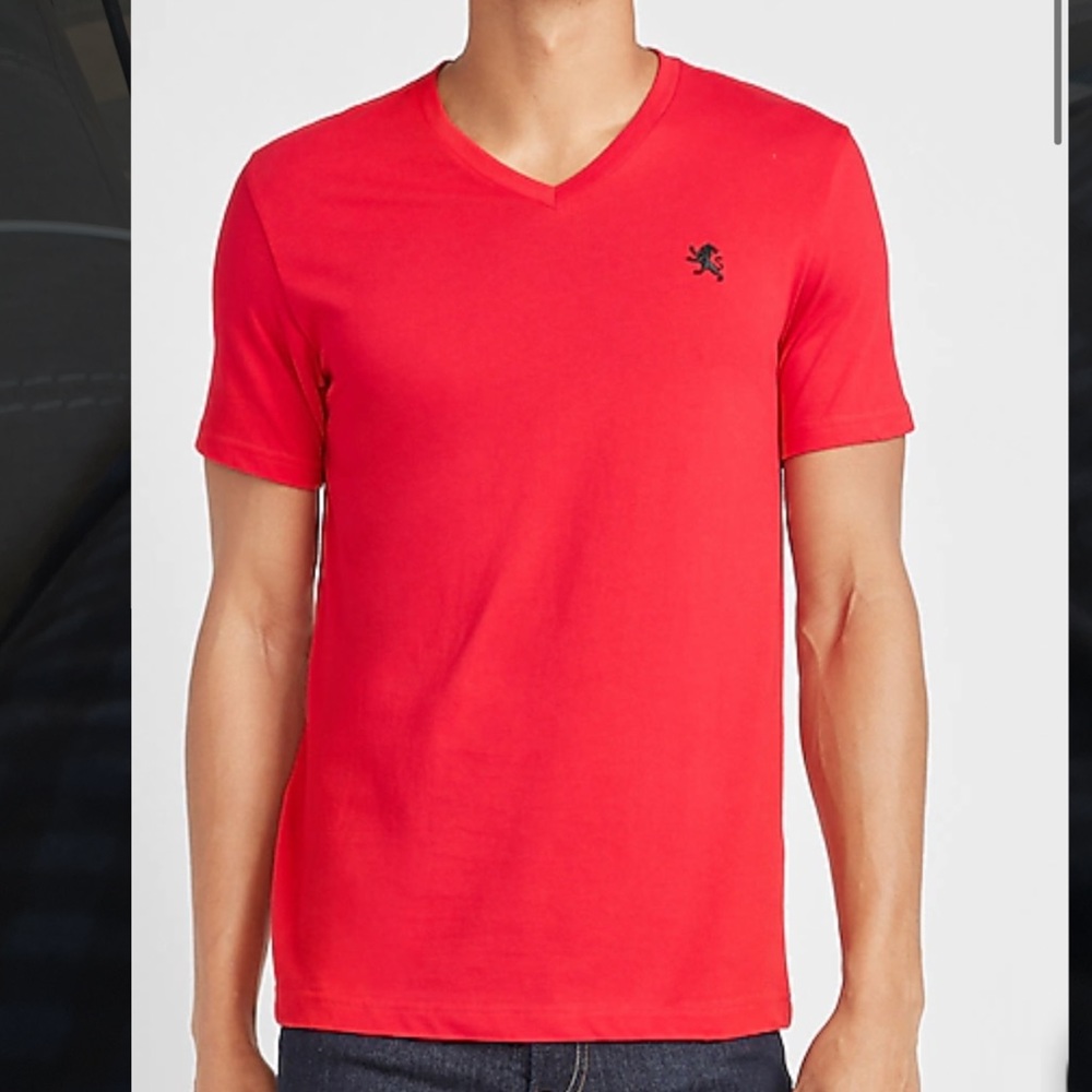 Express men’s Large V-neck T-shirts